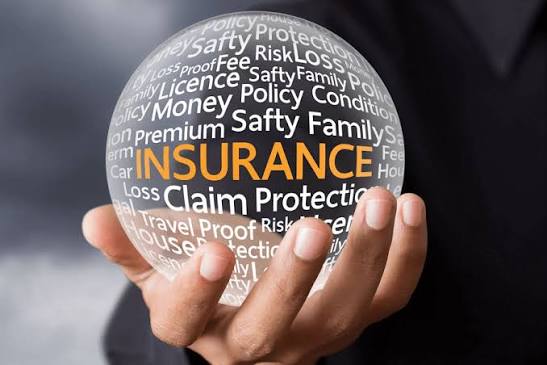 Insurance policy analysis